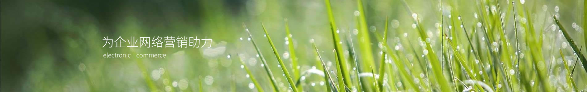 ŷƻе豸޹˾-ֹ˾